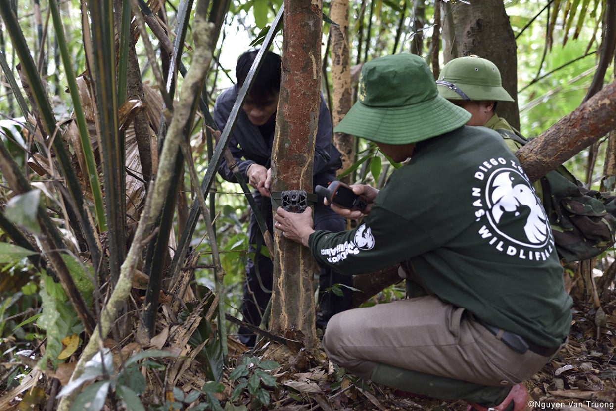 teams situating a trail camera in Vietnam