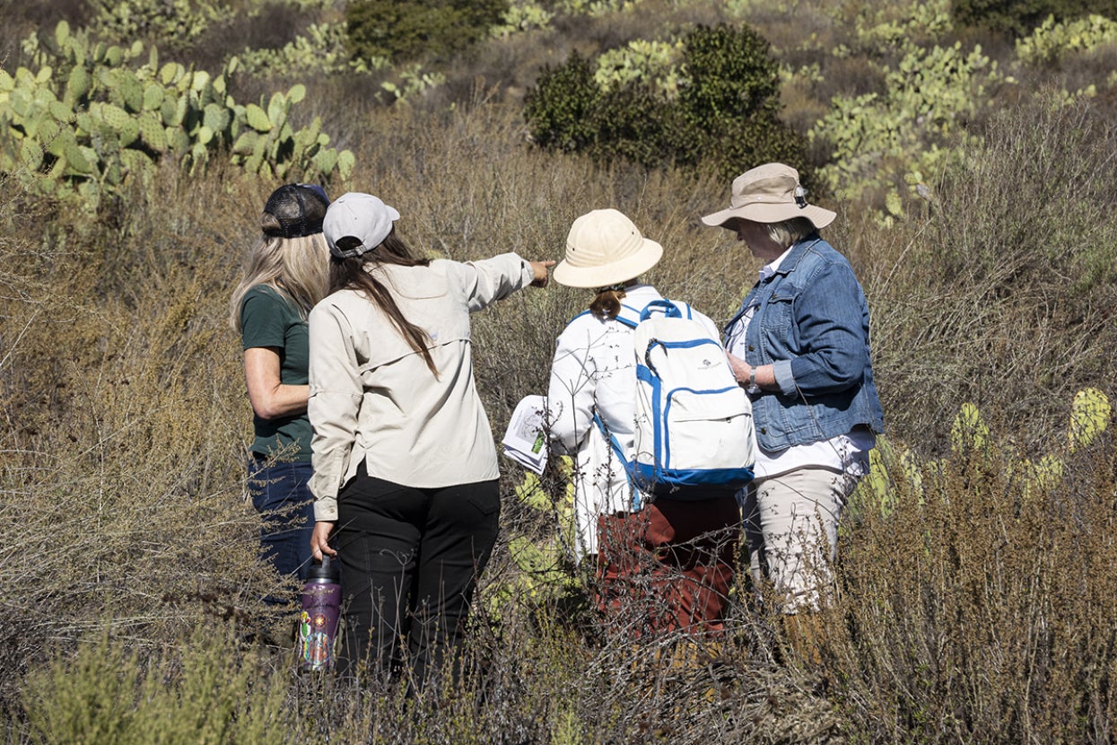 natural lands program team and volunteers conducting a survey