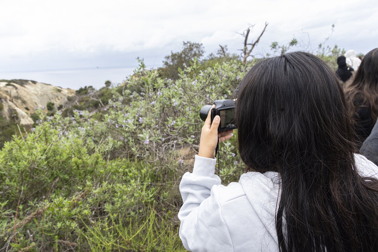 Student taking photo of landscape