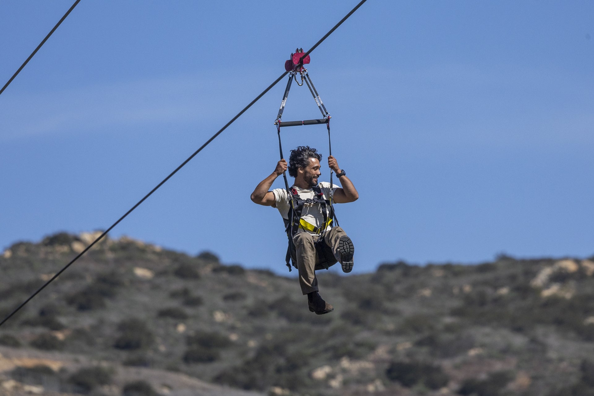 The Flight of a Lifetime | San Diego Zoo Wildlife Alliance