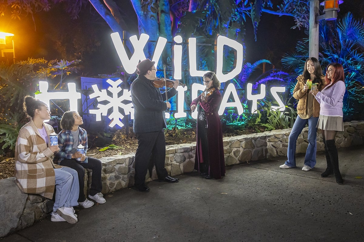 A Wonderful Time of Year | San Diego Zoo Wildlife Alliance