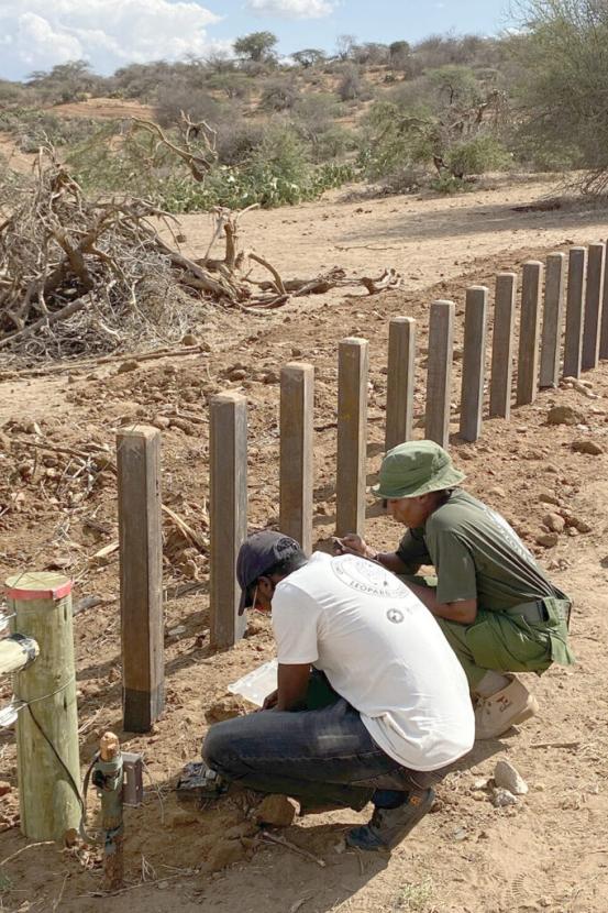 workers a Loisaba Conservancy