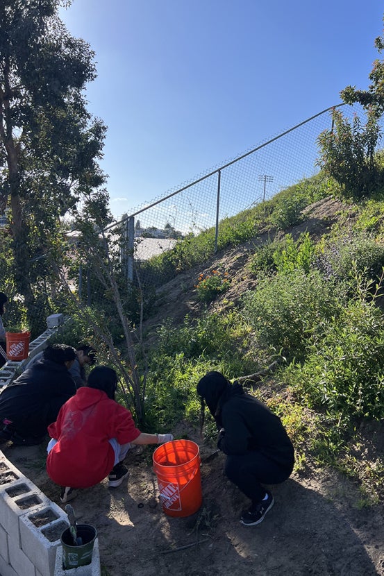 Students working on planted hill