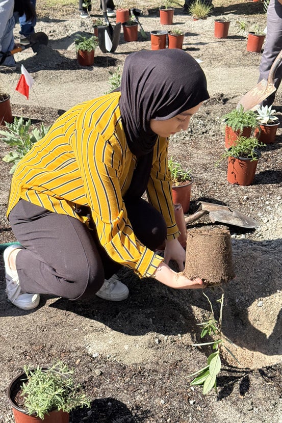 Student planting new plant