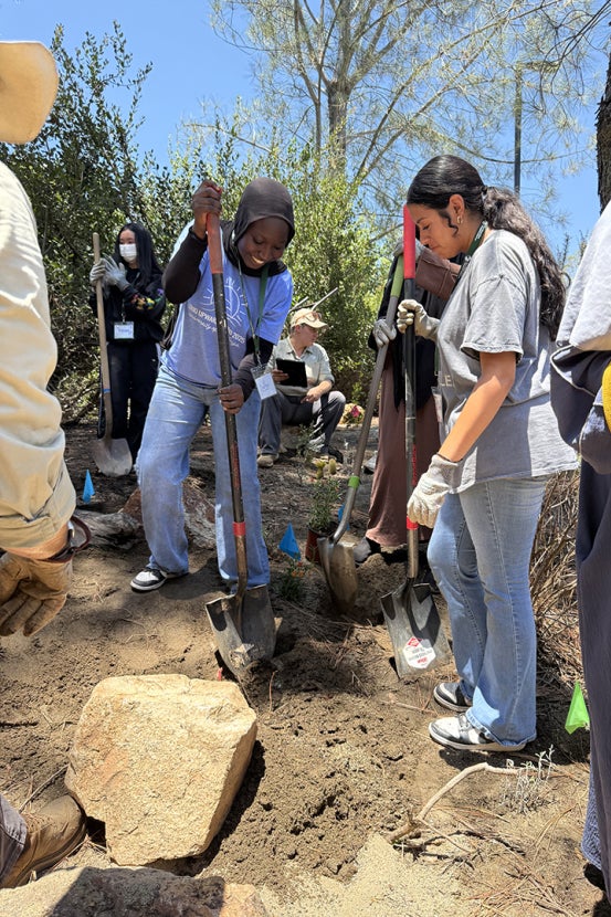 Two students help each other dig