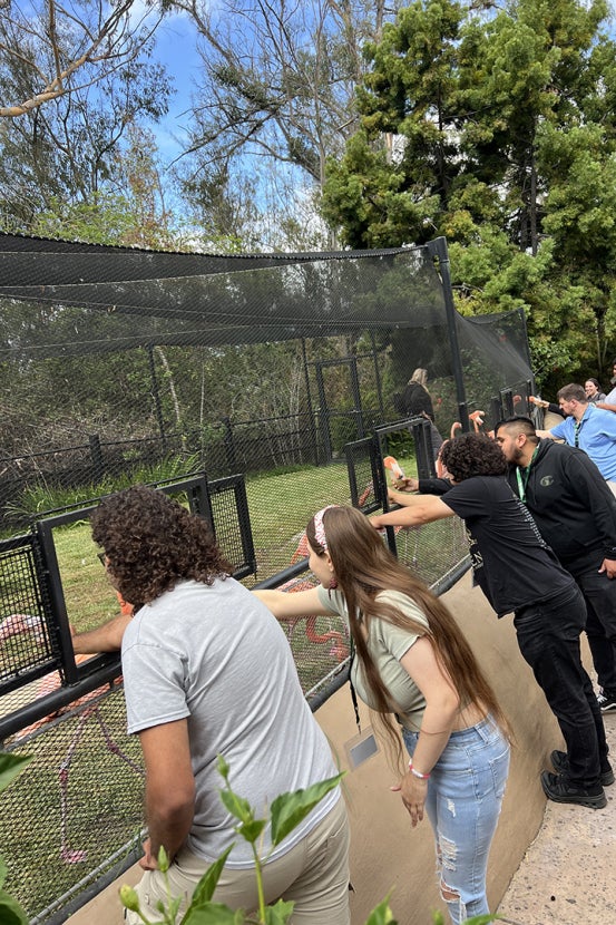 Interns and wildlife