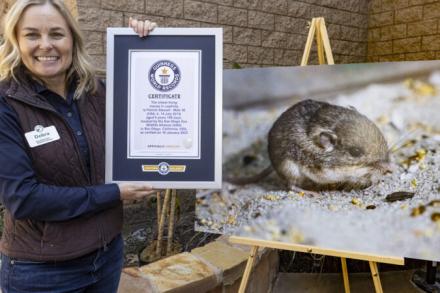 picture of Pat with certificate from GUINNESS WORLD RECORDS