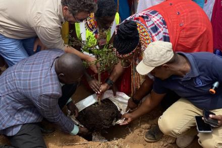 people planting tree