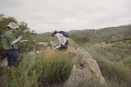 Conservation Tech Lab team members working in the Biodiversity Reserve