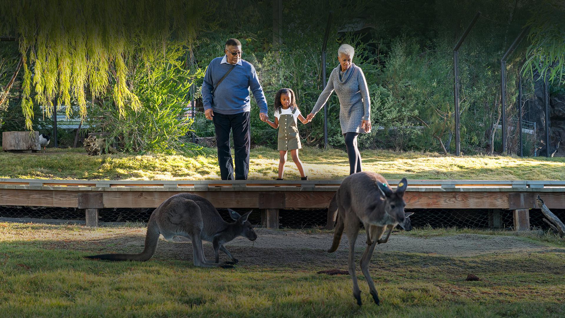 couple with young girl and kangaroos