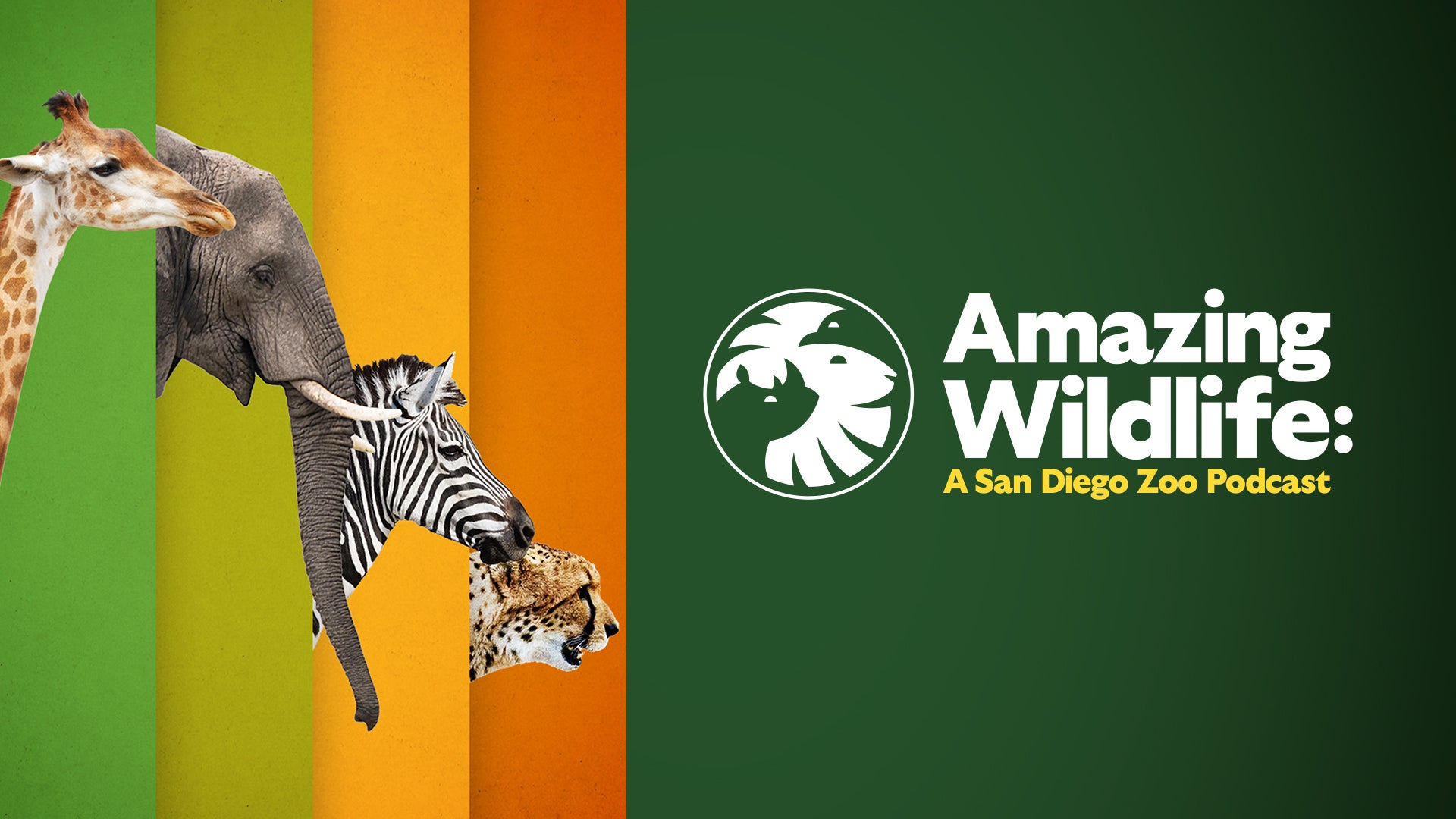 Amazing Wildlife Podcast Hero