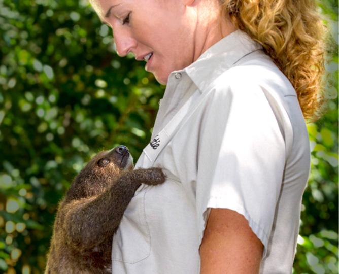 Zookeeper with baby sloth.